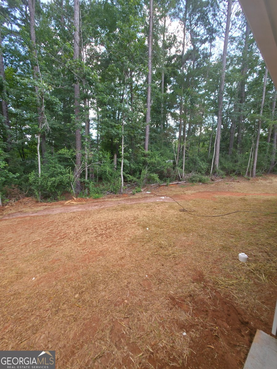 117 Dove Valley Lane Athens - Photo 21