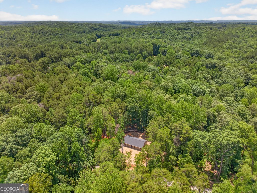 139 Fairlane Drive Martin - Photo 35