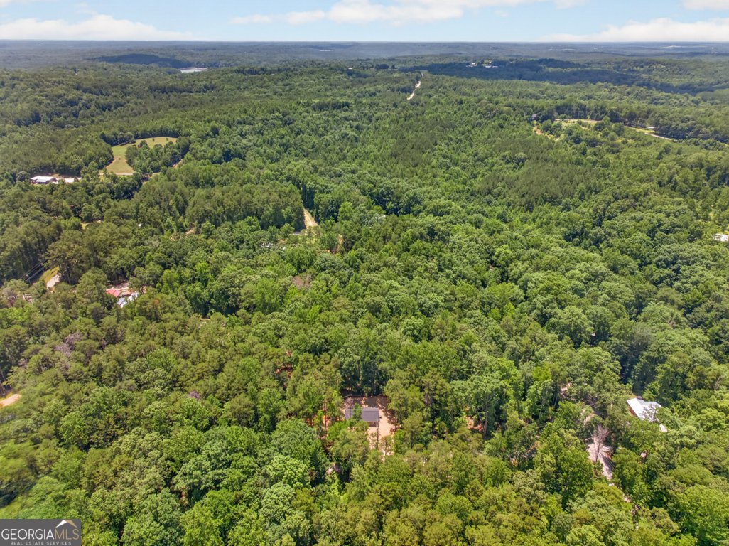 139 Fairlane Drive Martin - Photo 36