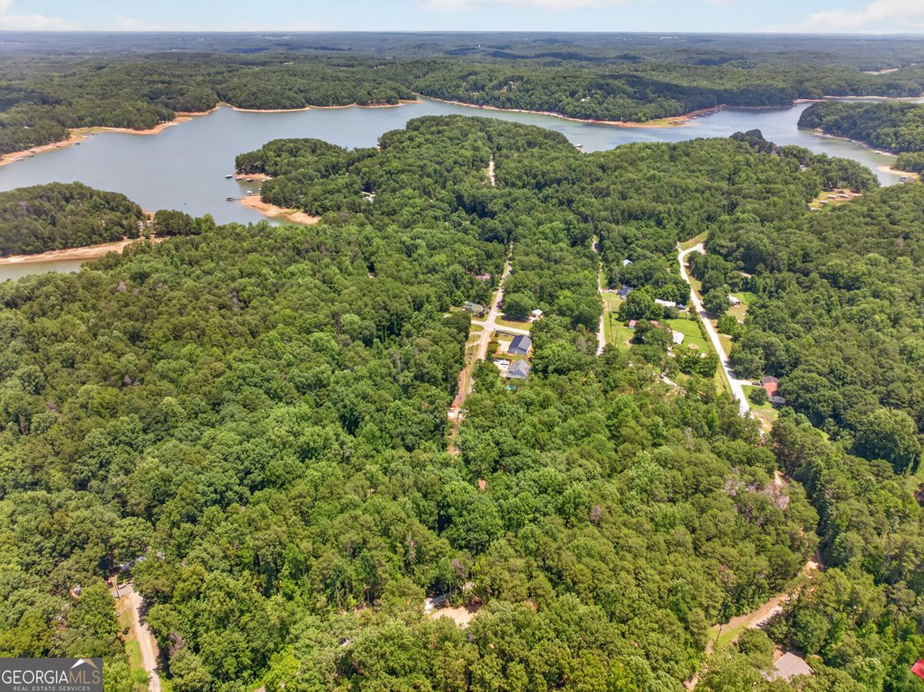 139 Fairlane Drive Martin - Photo 40