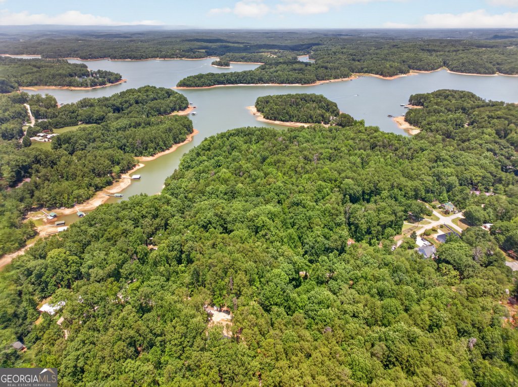 139 Fairlane Drive Martin - Photo 42