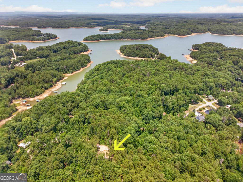 139 Fairlane Drive Martin - Photo 43