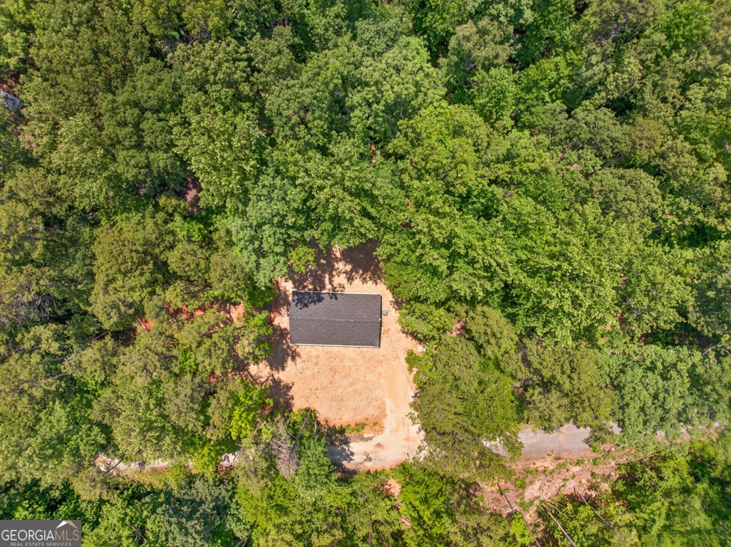 139 Fairlane Drive Martin - Photo 48