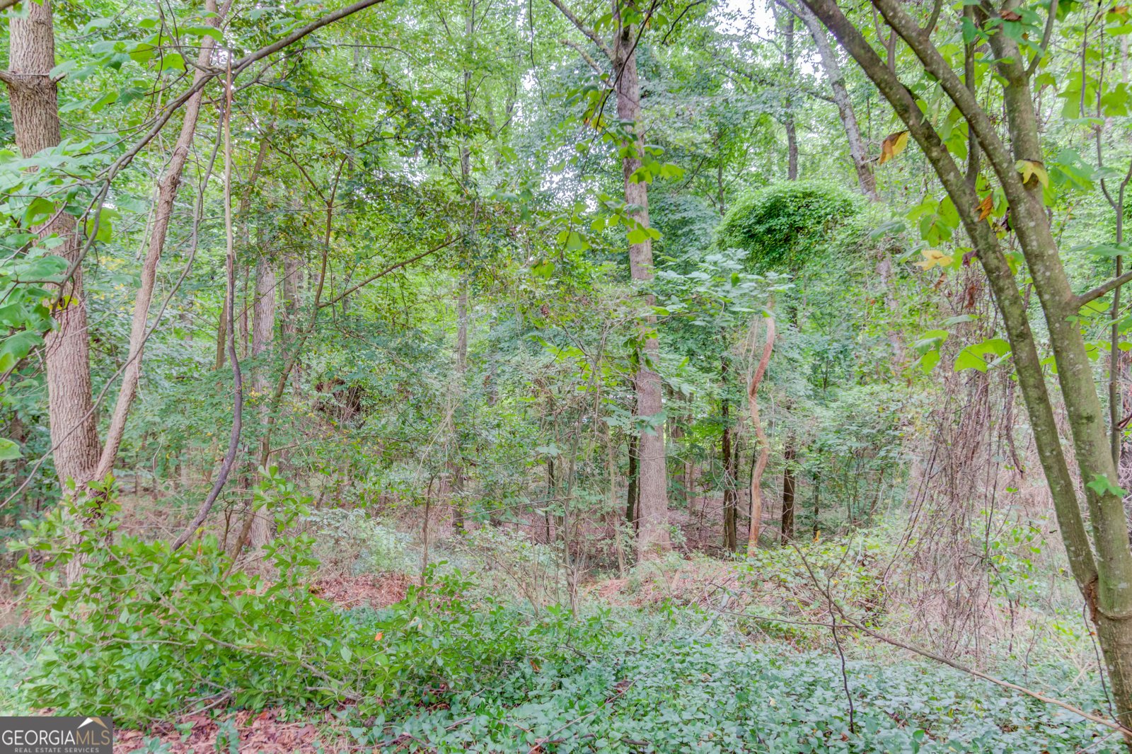 185 Woodland Terrace Jefferson - Photo 79