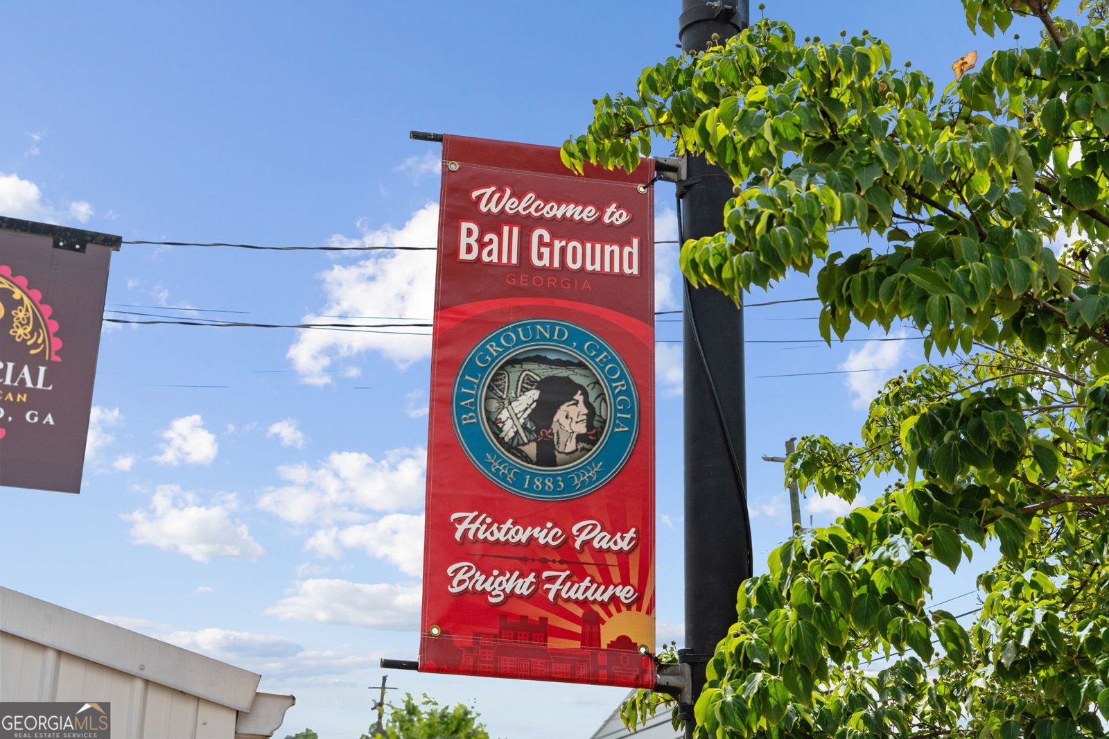 372 Jordan Road Ball Ground - Photo 38