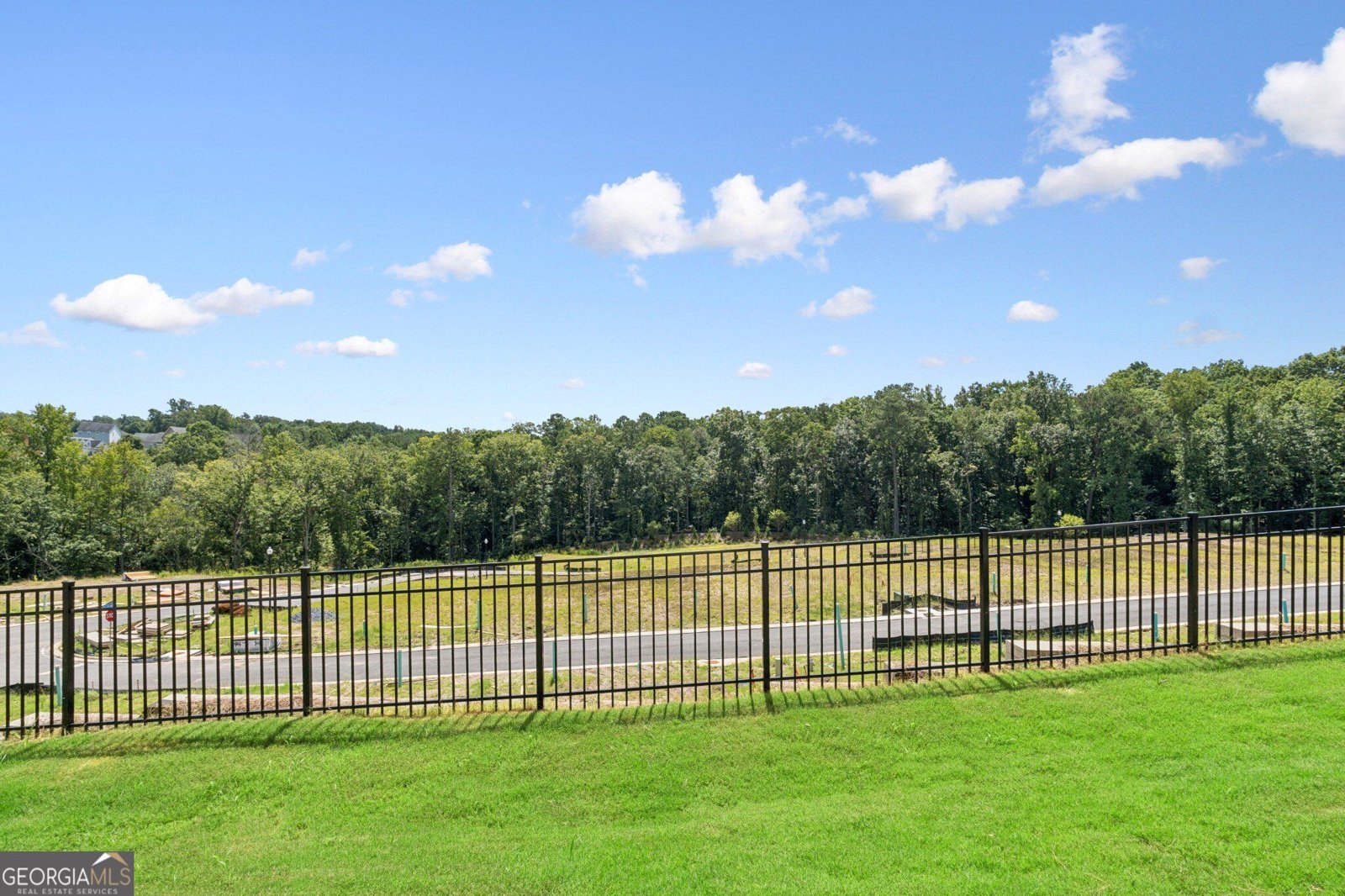210 Redbud Road Canton - Photo 18