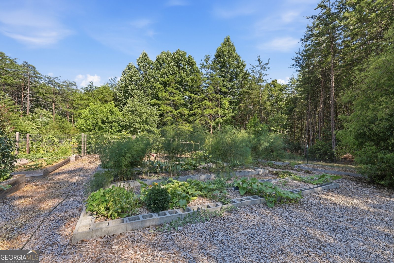 629 Monroe Ridge Road Sautee Nacoochee - Photo 60