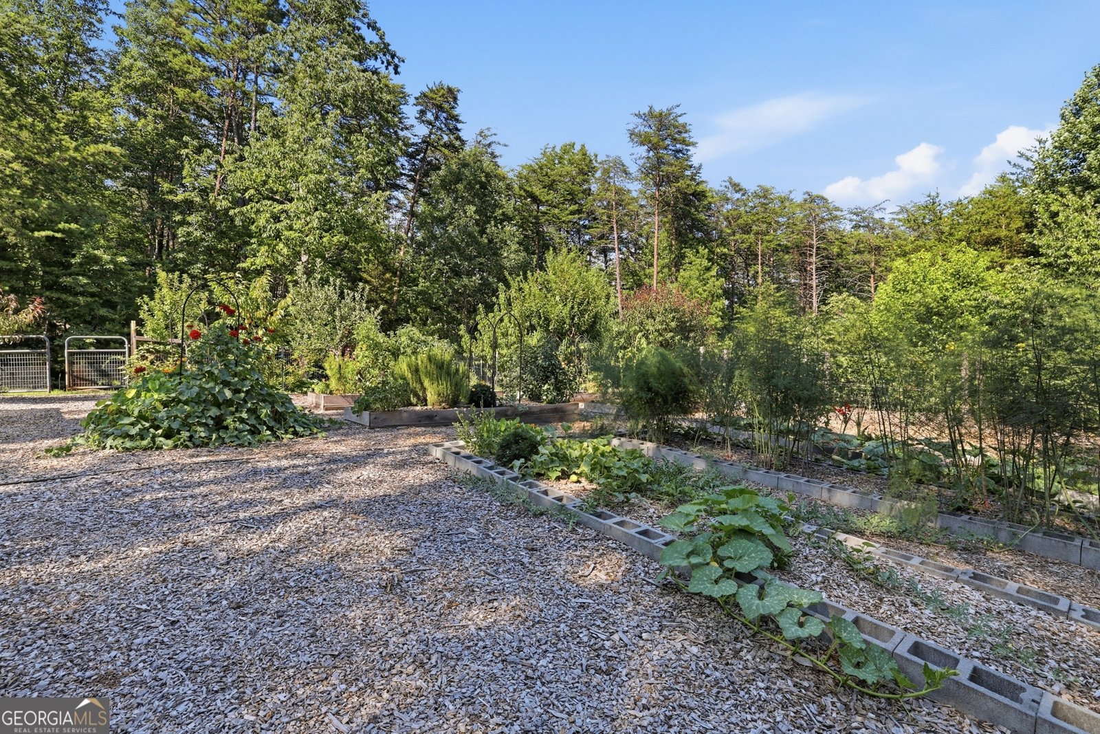 629 Monroe Ridge Road Sautee Nacoochee - Photo 62