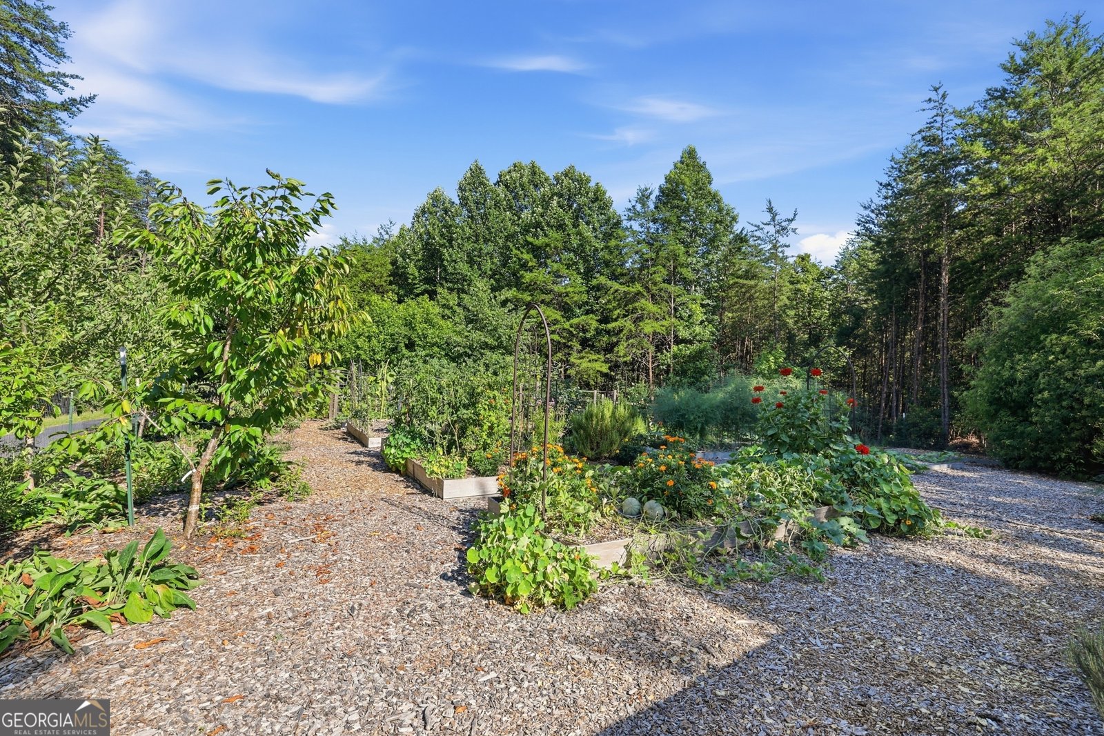 629 Monroe Ridge Road Sautee Nacoochee - Photo 65