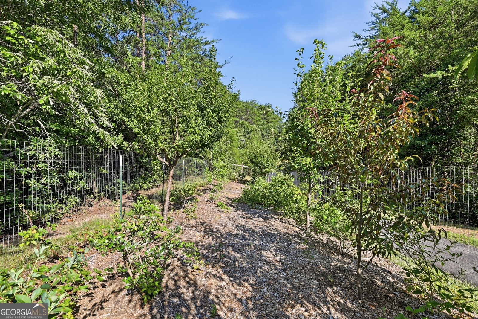 629 Monroe Ridge Road Sautee Nacoochee - Photo 66