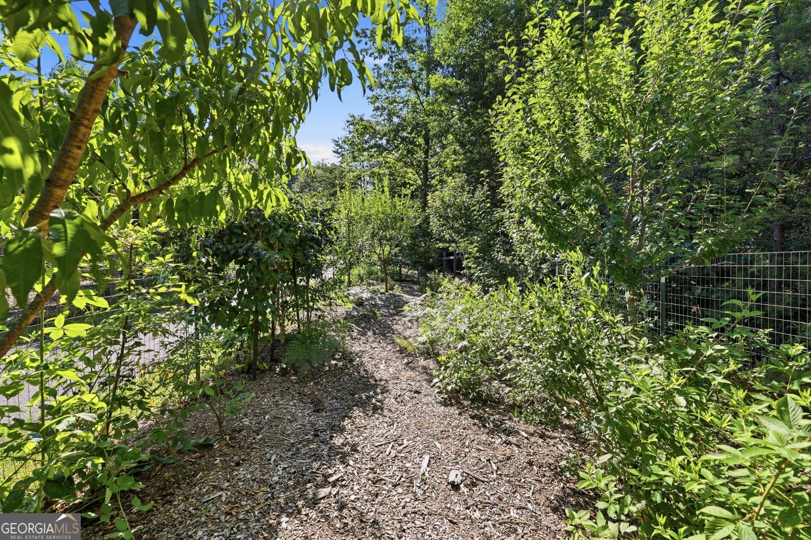 629 Monroe Ridge Road Sautee Nacoochee - Photo 67