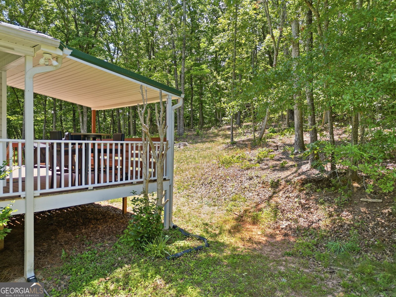 118 Hawkins Farm Lane Ball Ground - Photo 48