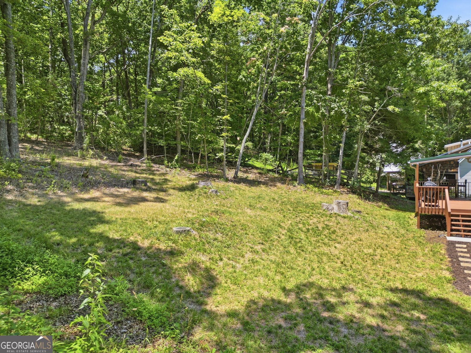 118 Hawkins Farm Lane Ball Ground - Photo 52