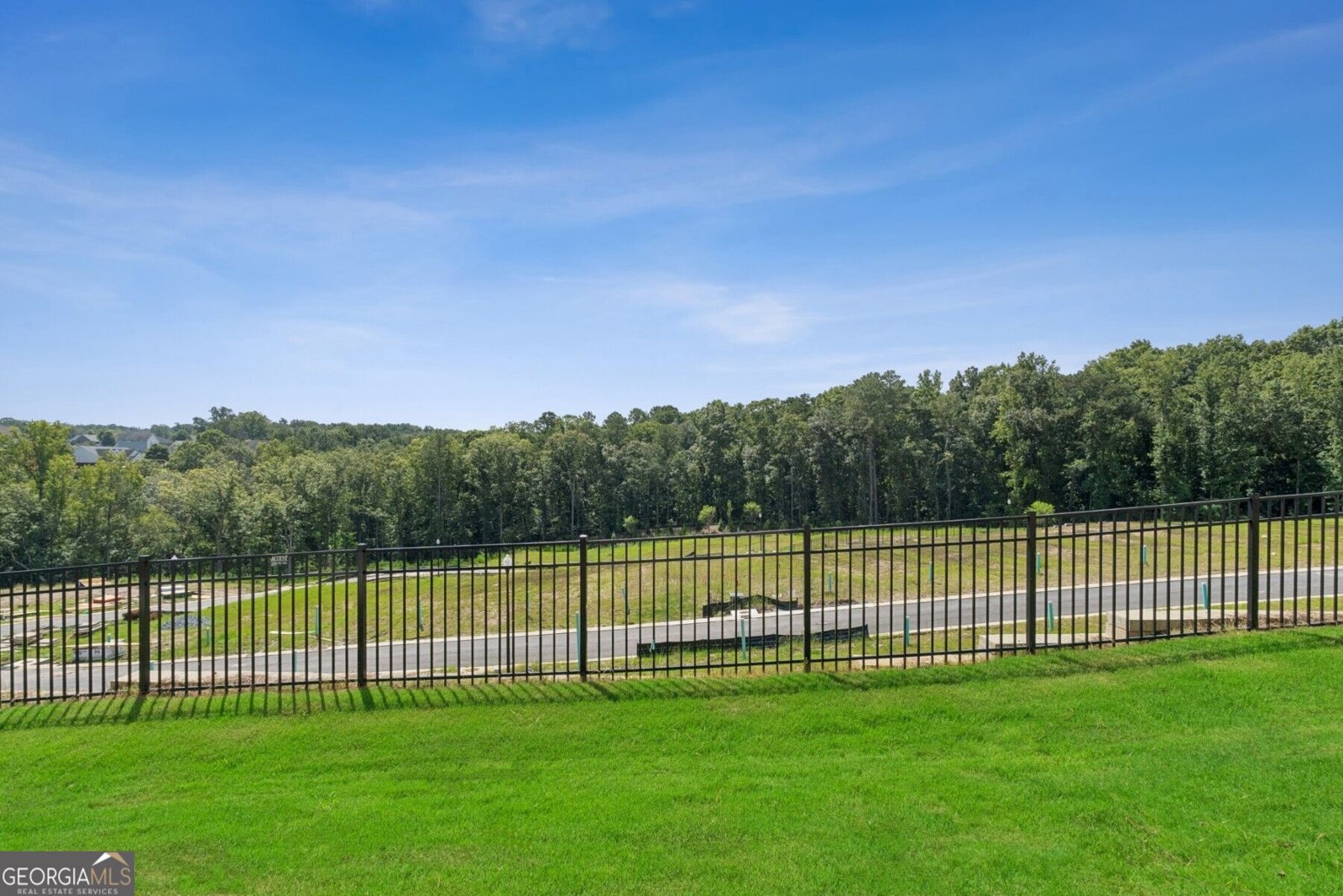 202 Redbud Road Canton - Photo 18