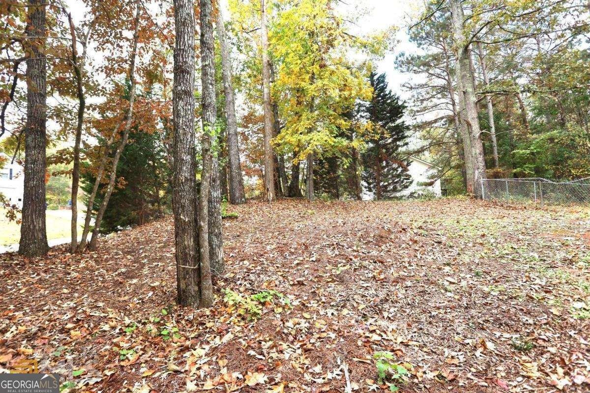 354 Kathy Court Douglasville - Photo 18
