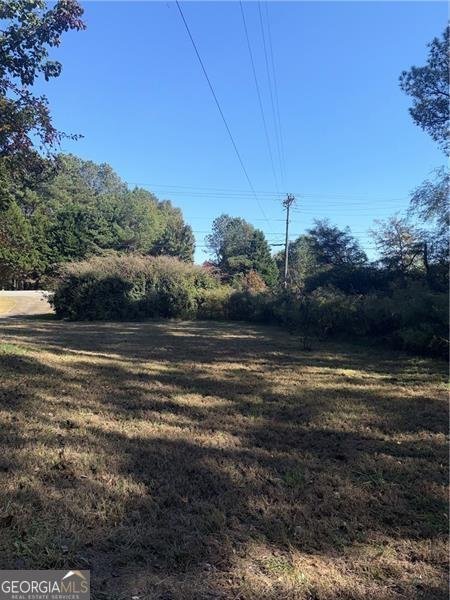 774 Mill Road Mcdonough - Photo 38
