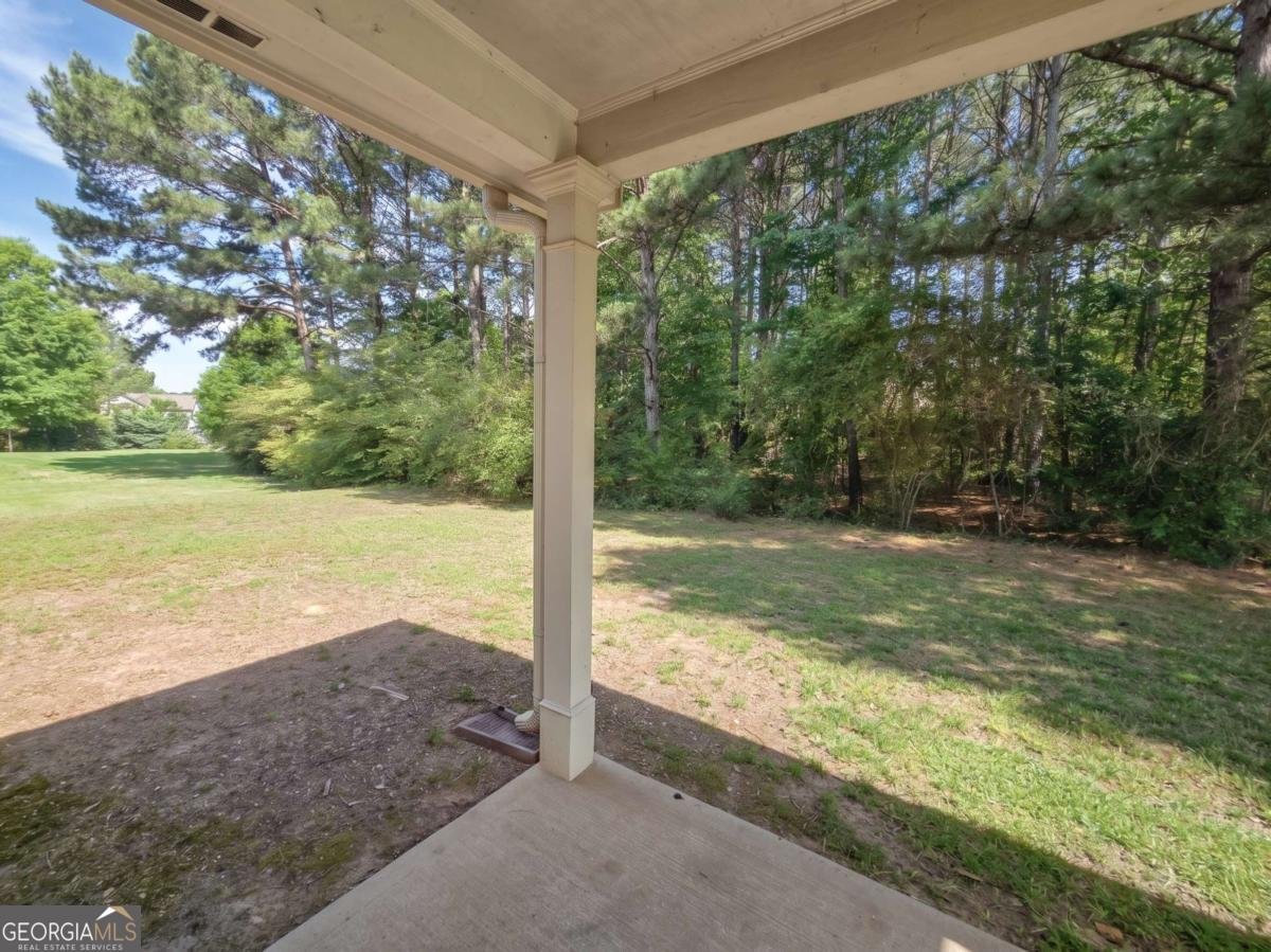 160 Paxton Place Newnan - Photo 17
