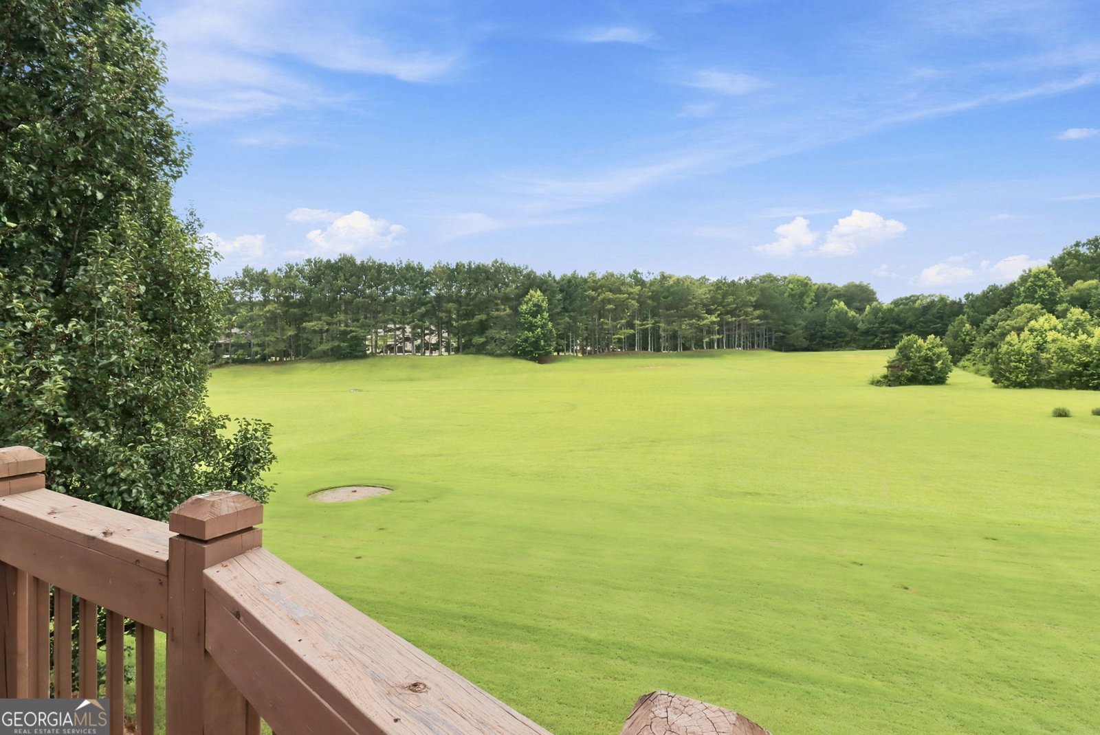 665 Westbourne Drive Tyrone - Photo 67