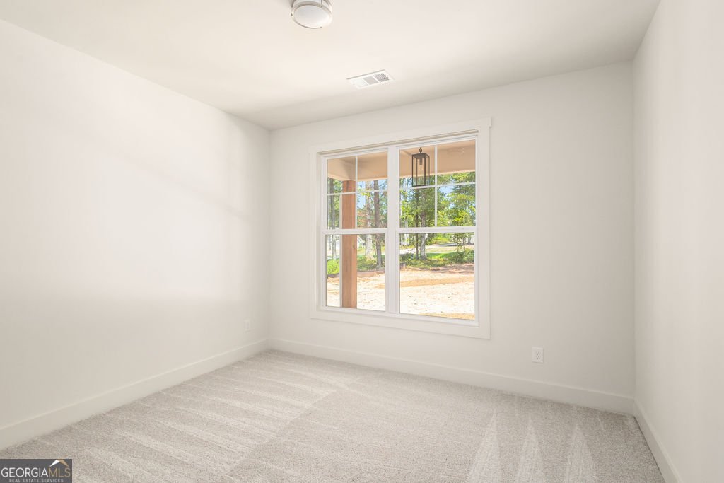 38 Puckett Station Drive Moreland - Photo 11