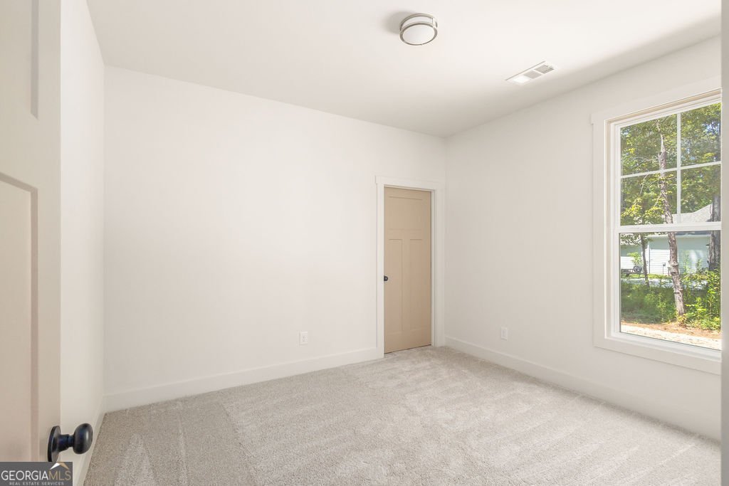 38 Puckett Station Drive Moreland - Photo 12