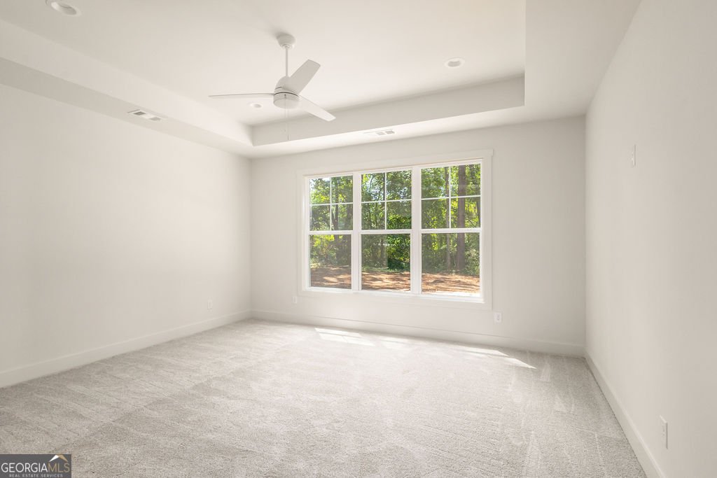 38 Puckett Station Drive Moreland - Photo 15