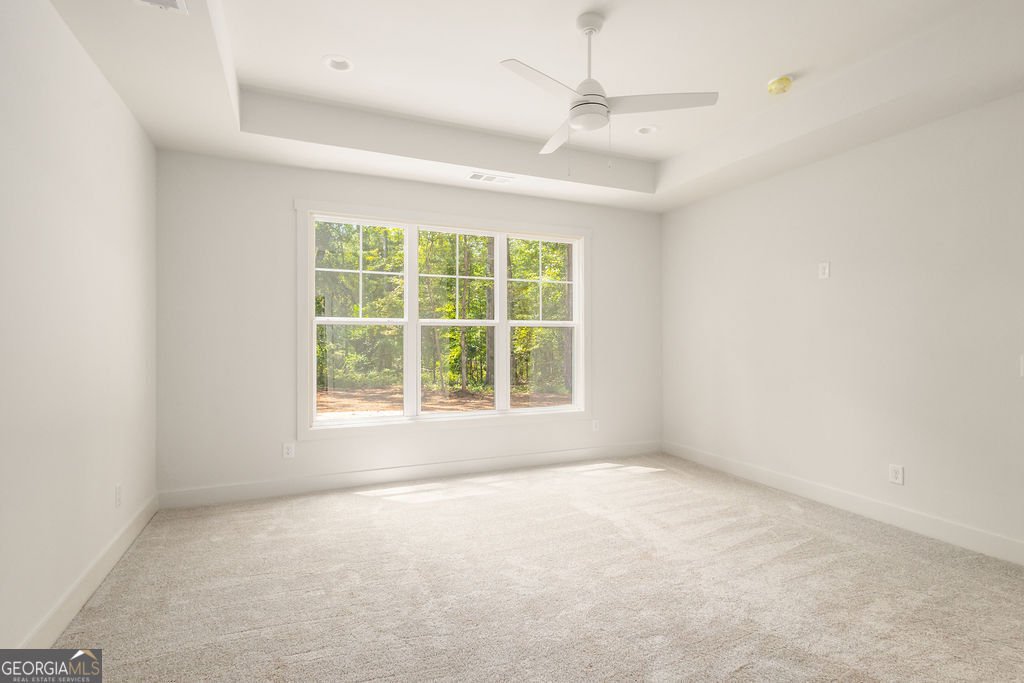 38 Puckett Station Drive Moreland - Photo 16