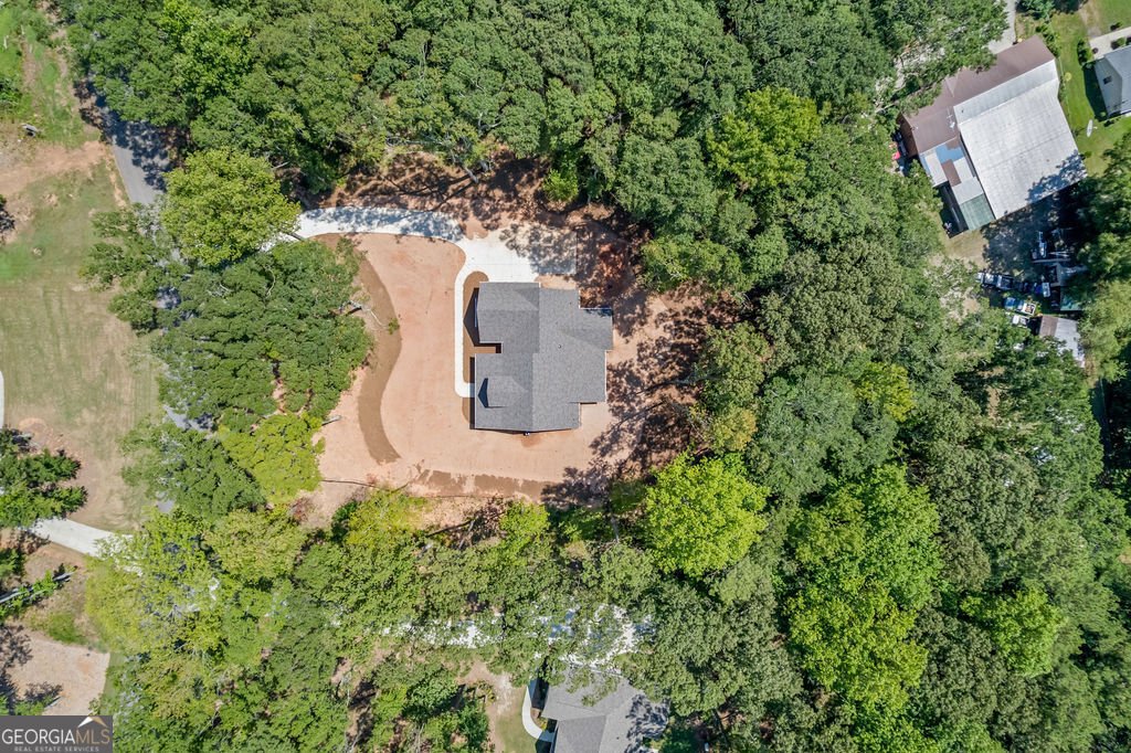 38 Puckett Station Drive Moreland - Photo 28