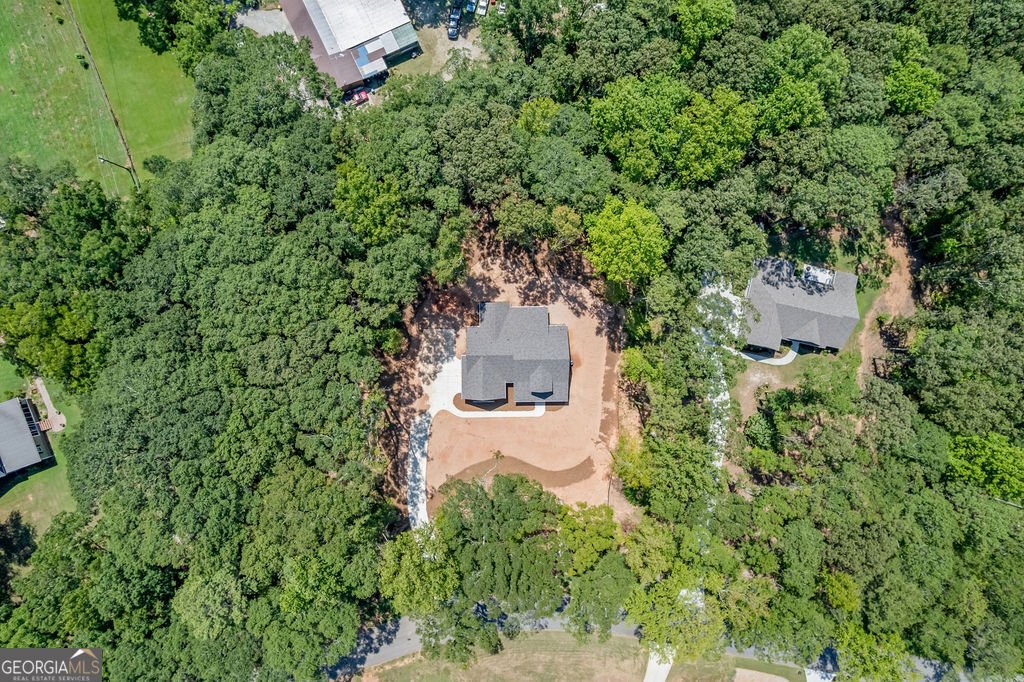 38 Puckett Station Drive Moreland - Photo 30