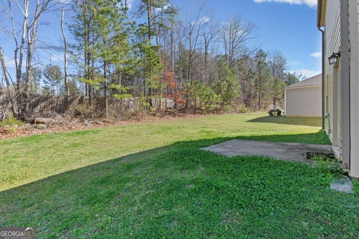 201 Hayes Park Drive Dallas - Photo 34