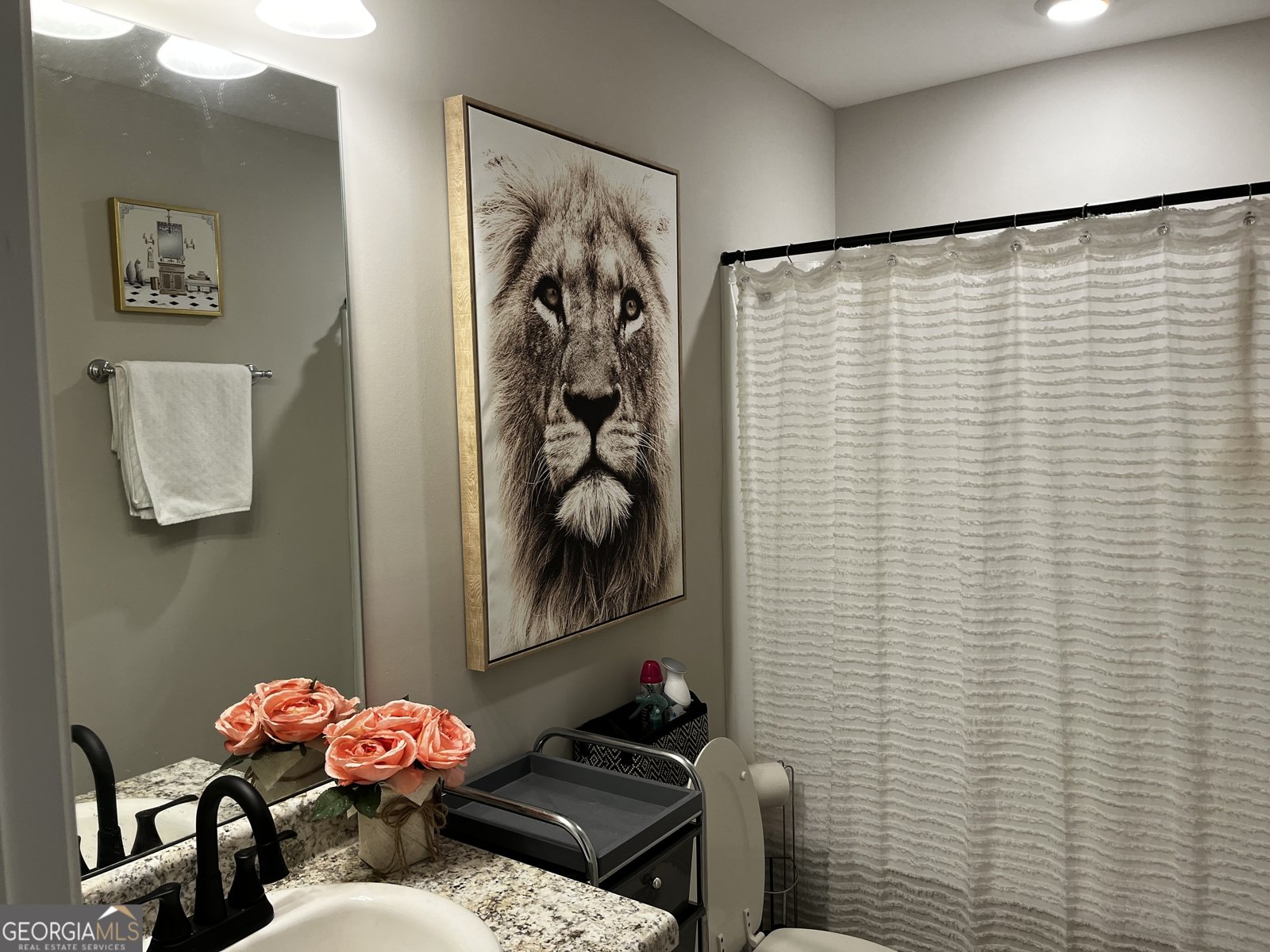 436 Clematis Court Temple - Photo 19