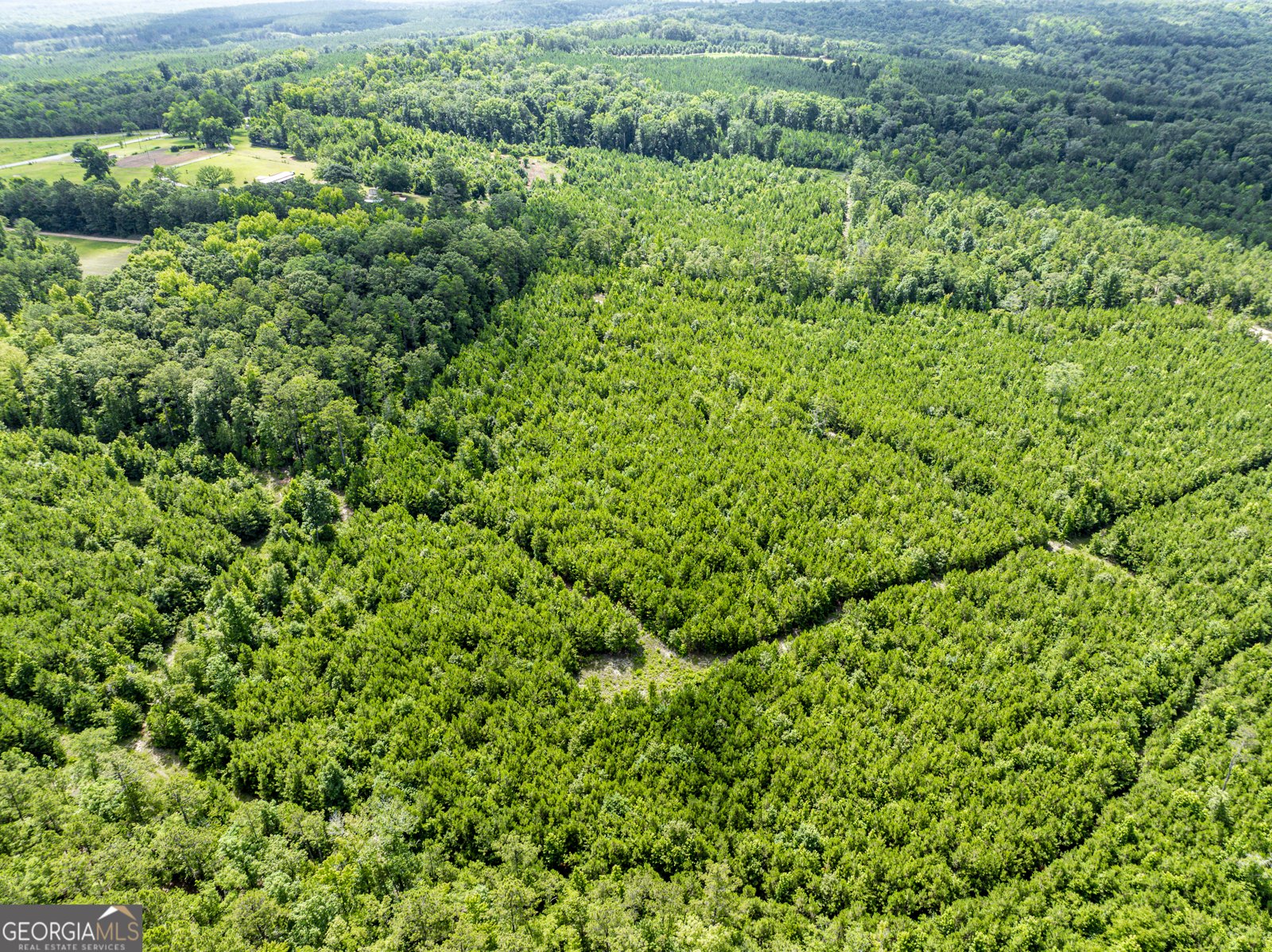 33595 Ga Highway 112 Milledgeville - Photo 27
