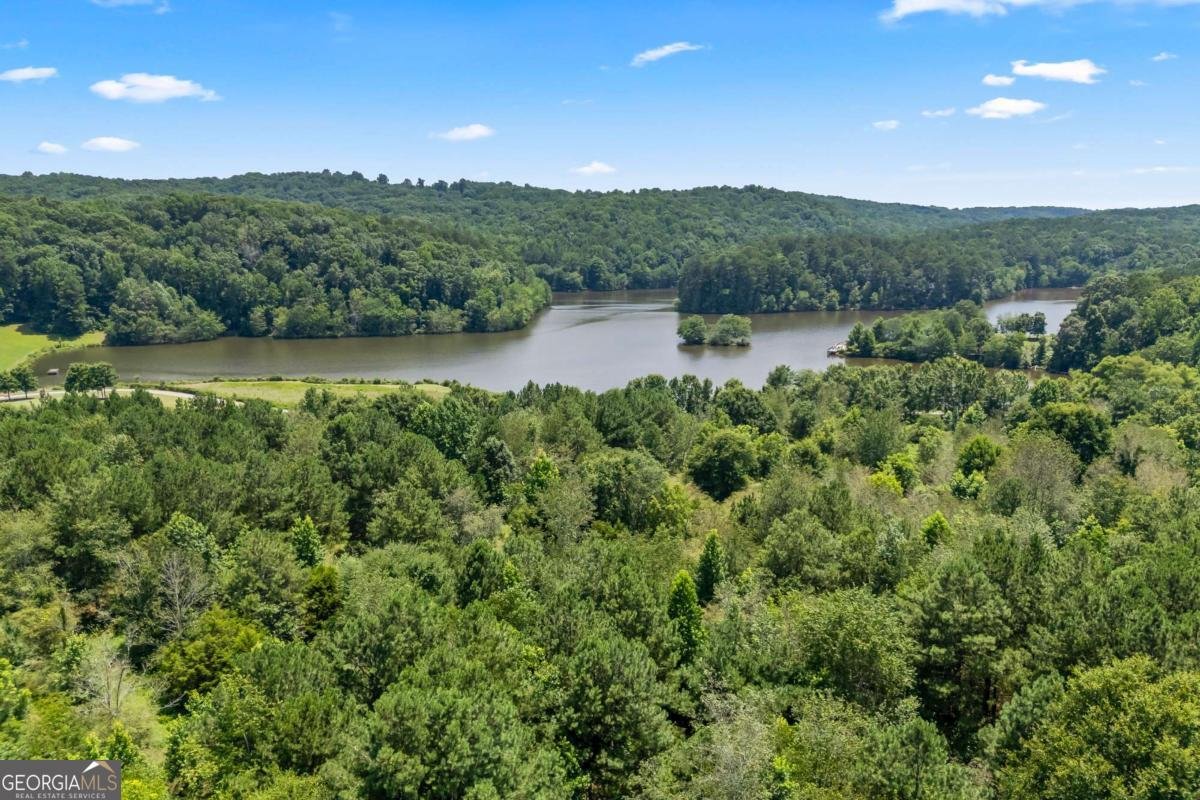 1452 Mountain Side Drive Dacula - Photo 85