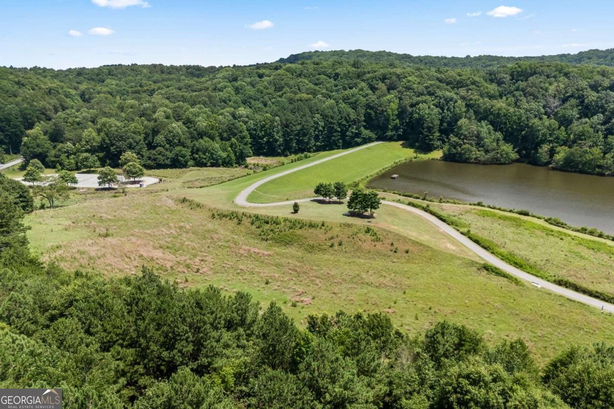 1452 Mountain Side Drive Dacula - Photo 86