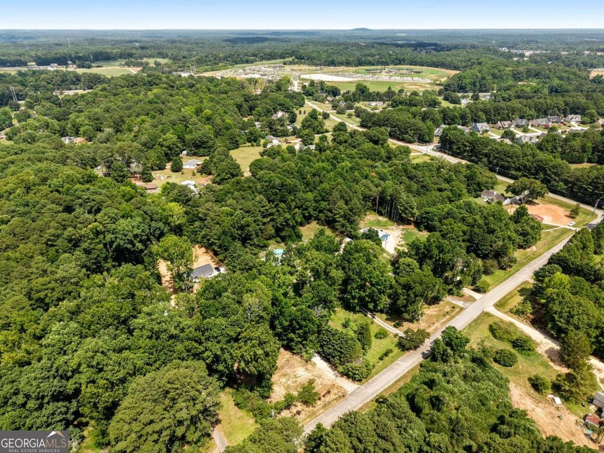 1231 Bunny Court Loganville - Photo 49