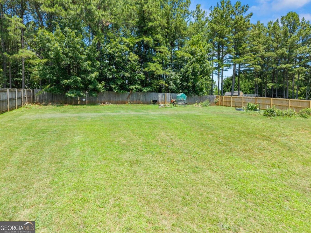 116 Miller Drive Dawsonville - Photo 42