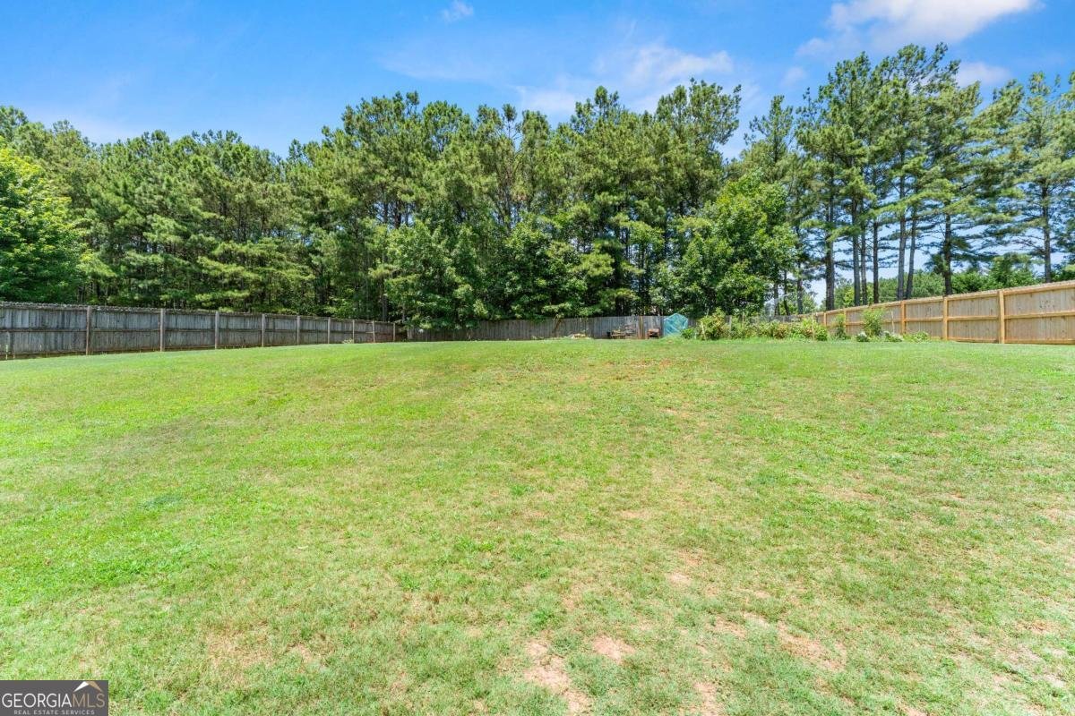 116 Miller Drive Dawsonville - Photo 43