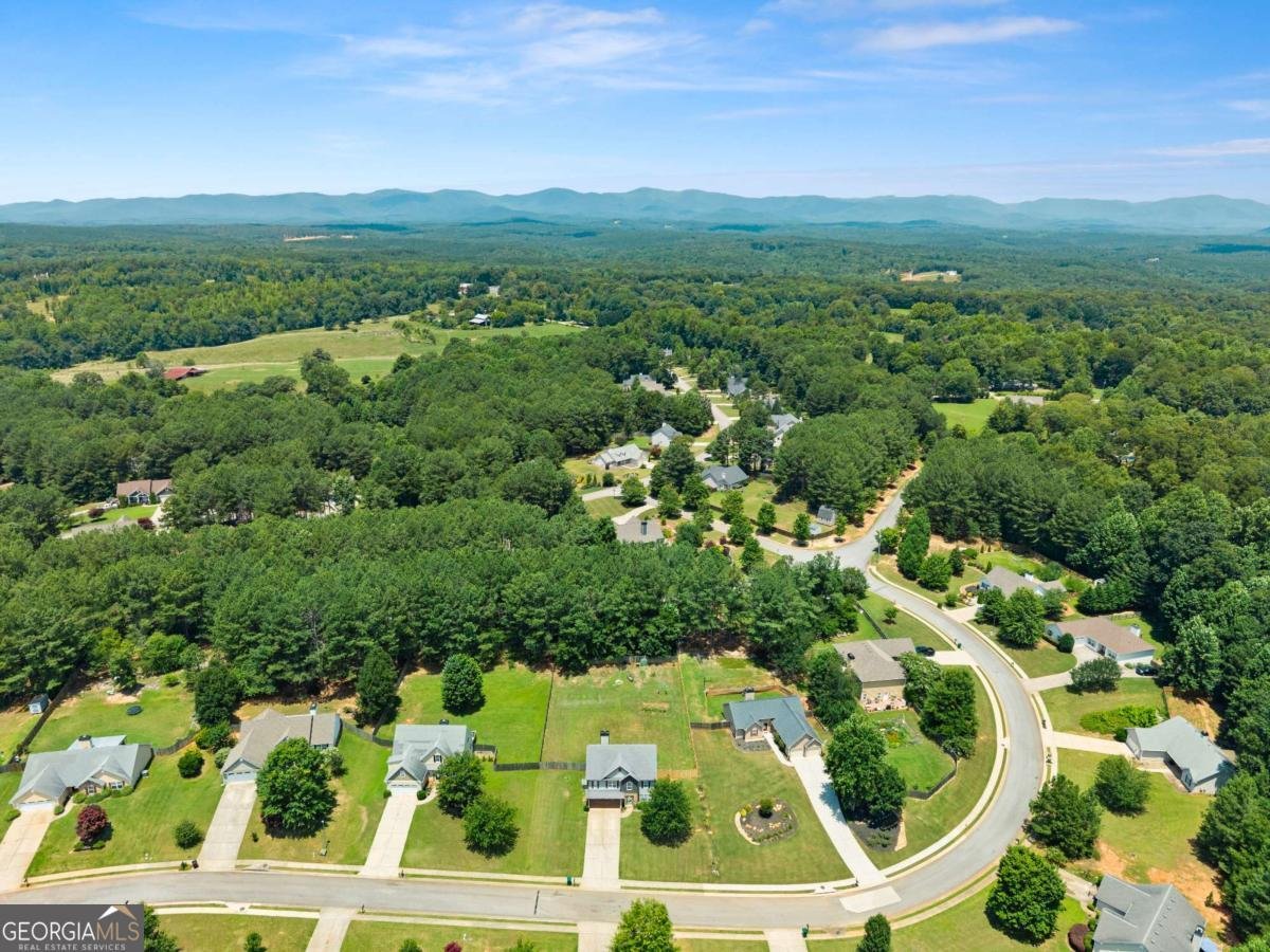 116 Miller Drive Dawsonville - Photo 46