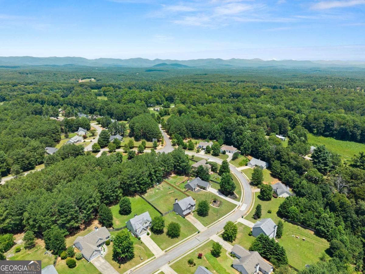 116 Miller Drive Dawsonville - Photo 47