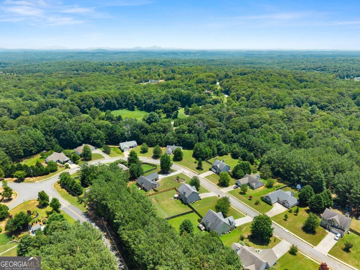 116 Miller Drive Dawsonville - Photo 48