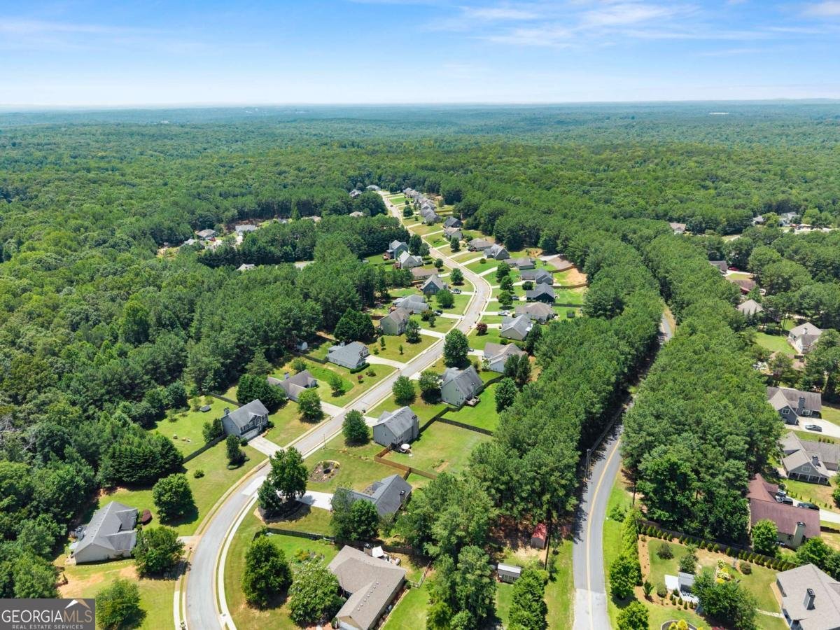 116 Miller Drive Dawsonville - Photo 49