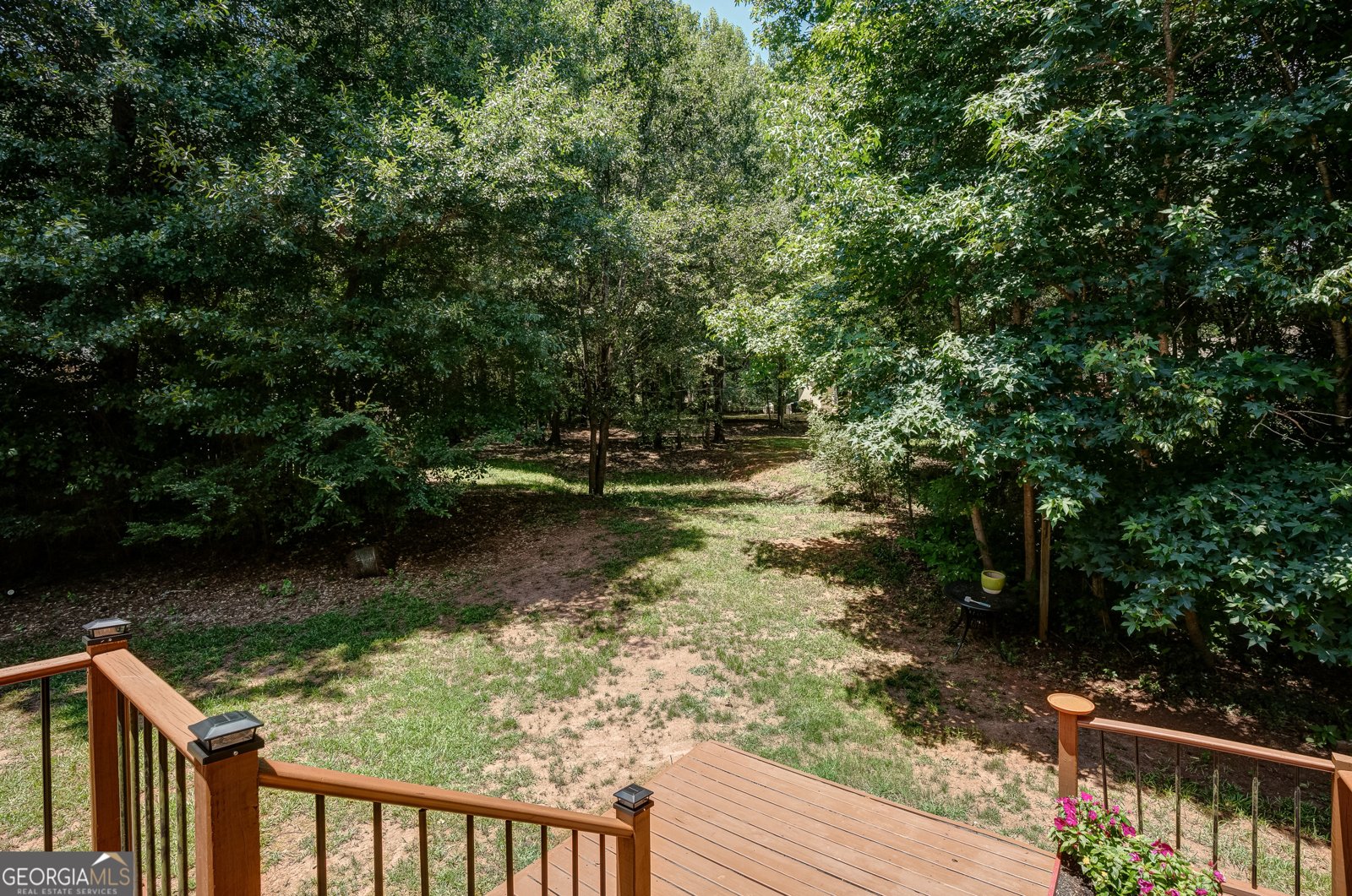 337 Asbury Court Senoia - Photo 39