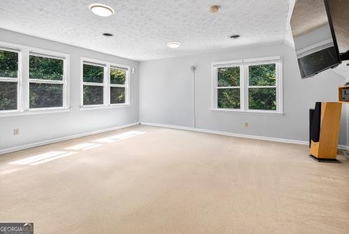 125 Vista Lane Tyrone - Photo 40