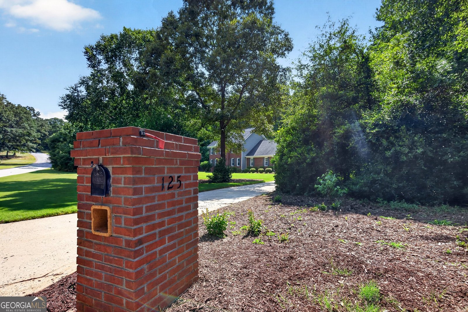 125 Vista Lane Tyrone - Photo 59