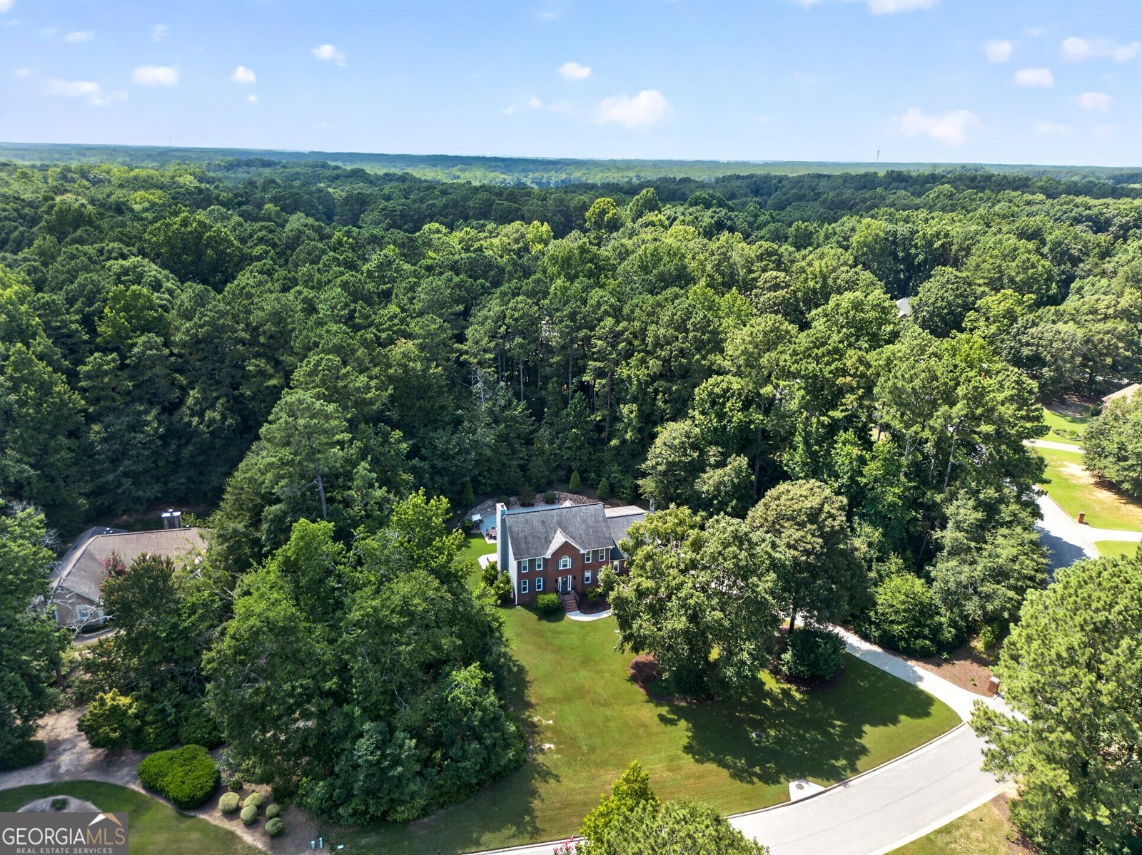 125 Vista Lane Tyrone - Photo 60