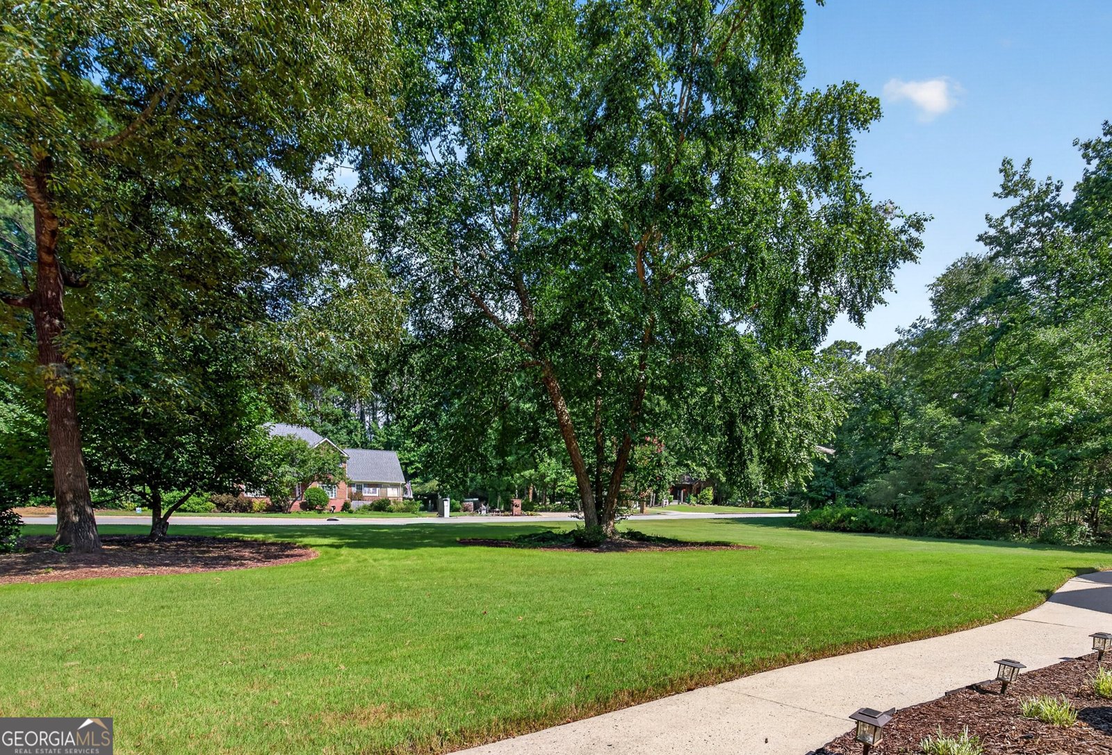 125 Vista Lane Tyrone - Photo 61