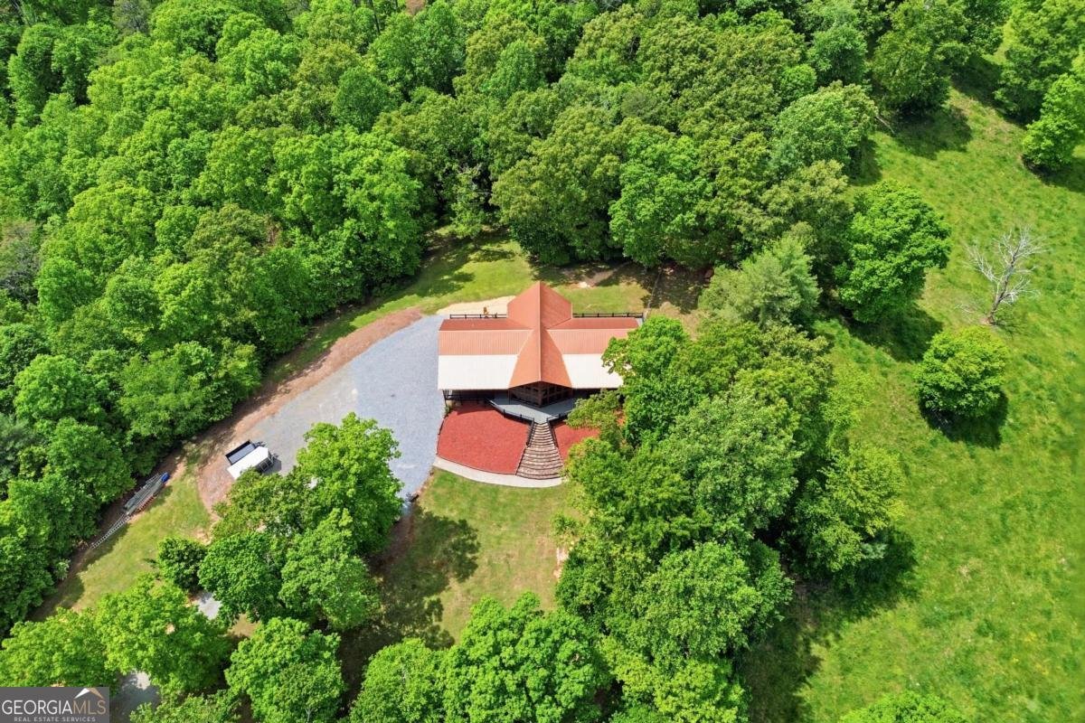 4725 Boardtown Road Ellijay - Photo 48