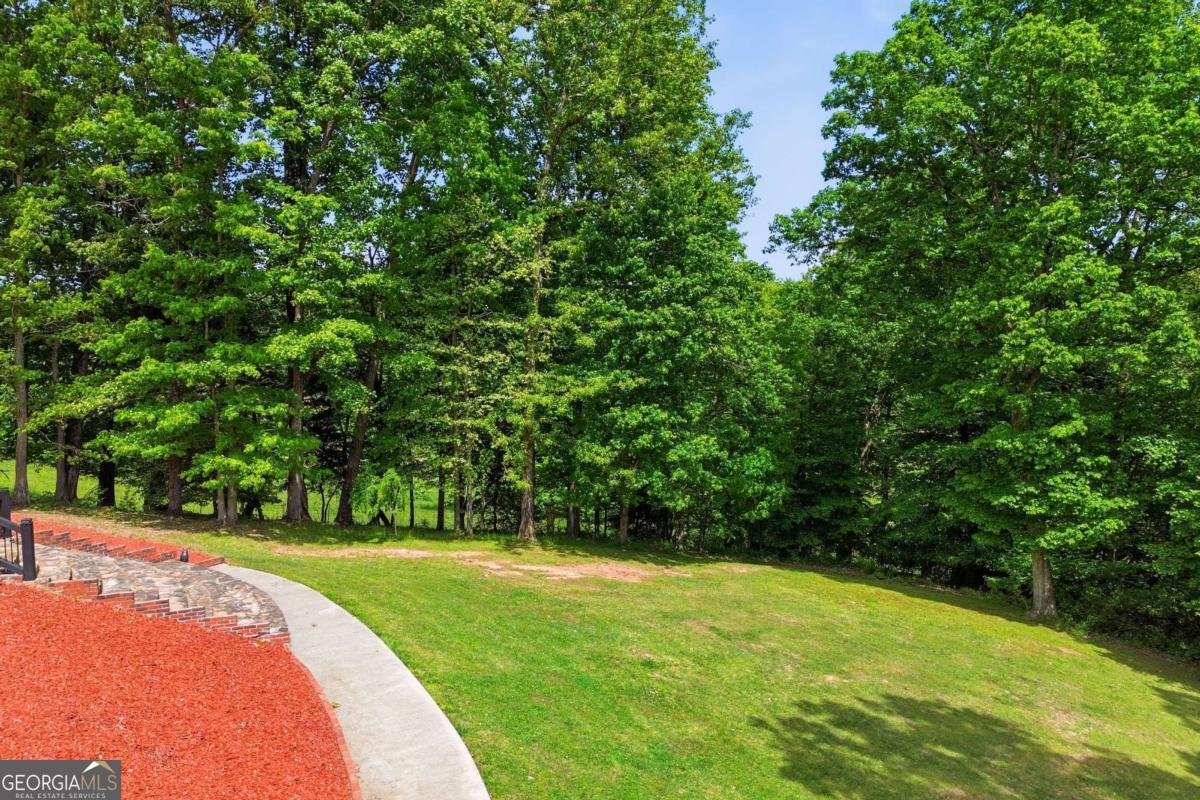 4725 Boardtown Road Ellijay - Photo 51