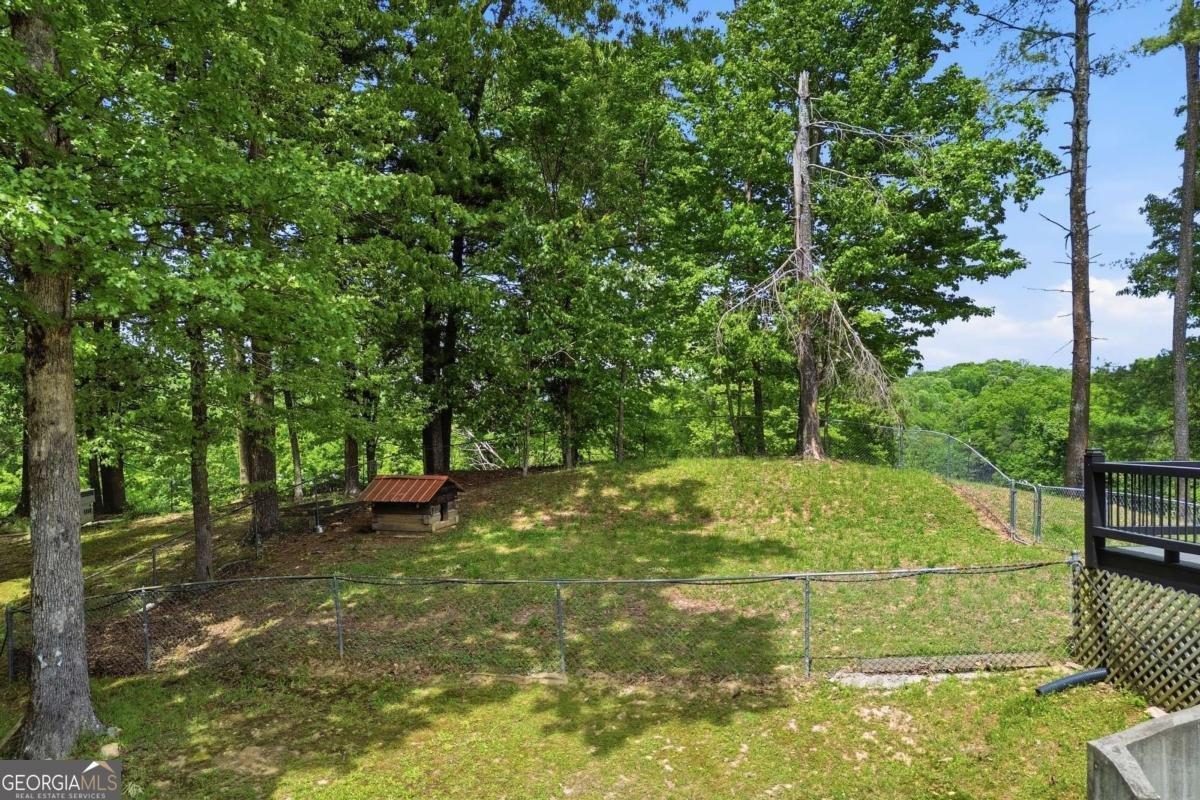 4725 Boardtown Road Ellijay - Photo 52