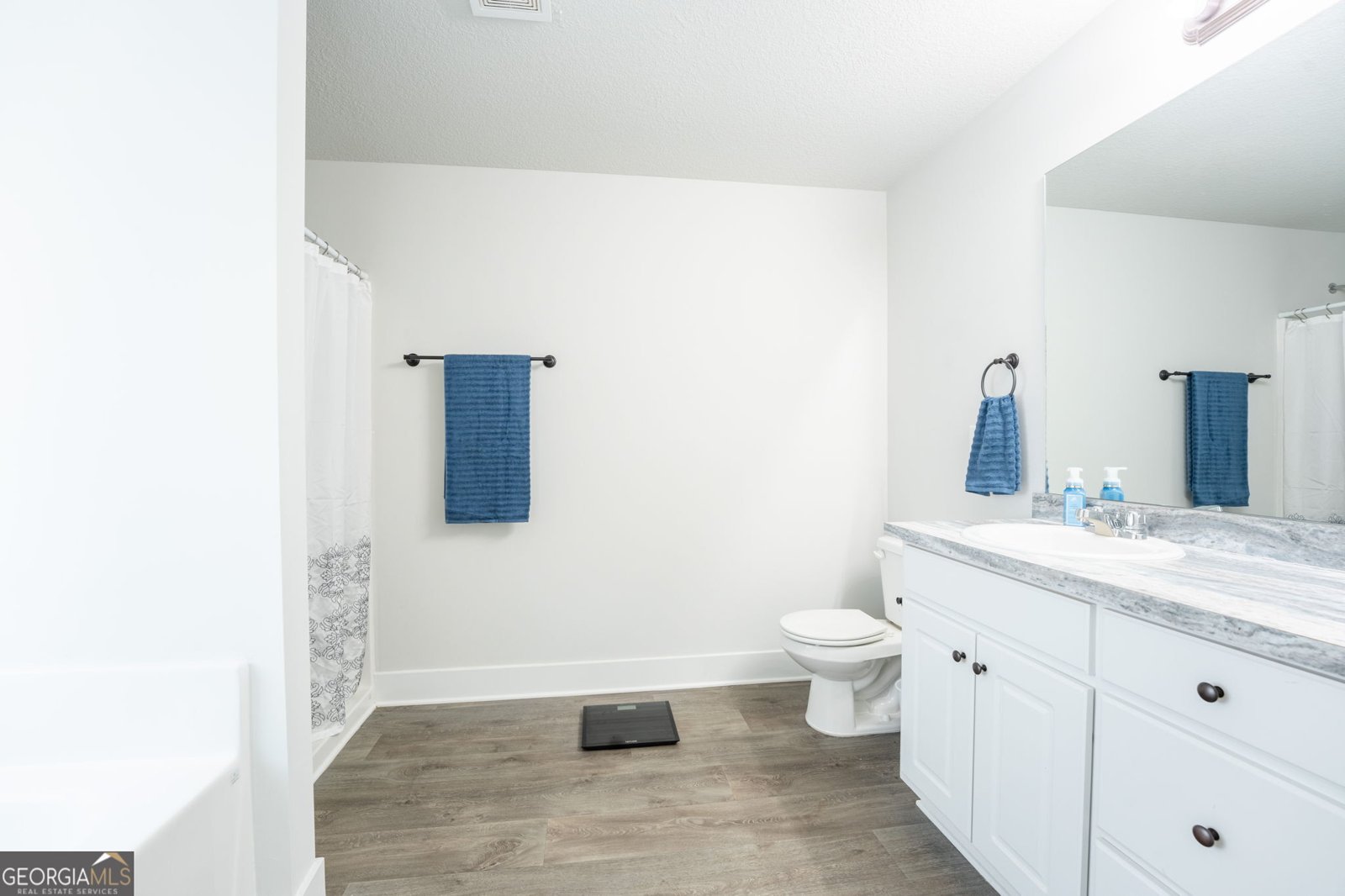 648 Walnut Drive Hartwell - Photo 18