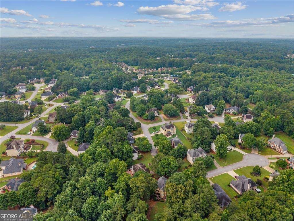 3005 Dogwood Hollow Lane Lawrenceville - Photo 49